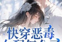 (全文)快穿恶毒女配怎么了，男主他超爱江辞晚傅云承全本免费在线阅读-蓝天文学