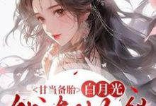 沈青榕甘当备胎,白月光能有什么错全本免费在线阅读-蓝天文学