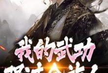 (全文)完了！我的武功强过全族人林枫全本免费在线阅读-蓝天文学