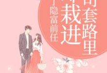 甩了隐富前任,却栽进上司套路里(林昭)全本书籍阅读甩了隐富前任,却栽进上司套路里完整版小说-蓝天文学