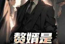 (全文)赘婿是隐藏大佬？前妻哭晕​​(萧别离)全本免费在线阅读-蓝天文学