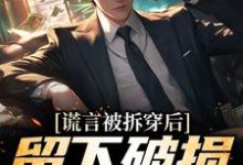 谎言被拆穿后，留下破损的婚姻推荐完结小说，谎言被拆穿后，留下破损的婚姻张齐免费小说全本-蓝天文学