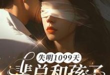(全文)失明1099天，裴总和孩子我都不要了谢南枝完结小说推荐失明1099天，裴总和孩子我都不要了试读更新章节-蓝天文学