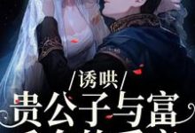 (全文)诱哄：贵公子与富千金的爱恋（沈漾）免费小说诱哄：贵公子与富千金的爱恋试读更新章节-蓝天文学
