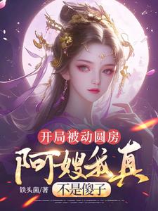 开局被动圆房，阿嫂我真不是傻子许修年完结小说推荐，开局被动圆房，阿嫂我真不是傻子全章小说阅读