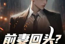 (全文)前妻回头?可惜,迟了!秦风全本免费在线阅读-蓝天文学
