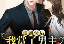 江淮宁走剧情后，我赏了男主三个巴掌练手全本免费在线阅读-蓝天文学