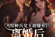 特种兵女王被嫌弃，离婚后马甲爆了乔沁顾沉霆热门小说排行榜特种兵女王被嫌弃，离婚后马甲爆了免费小说-蓝天文学