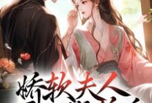 娇软夫人不再撒娇后，侯爷他慌了完整版小说娇软夫人不再撒娇后，侯爷他慌了(乔嫚宁祈)全章小说阅读-蓝天文学