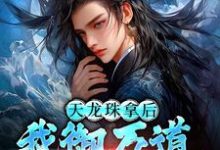 天龙珠拿后，我御万道吞四海江尘完结小说推荐天龙珠拿后，我御万道吞四海全本书籍阅读-蓝天文学