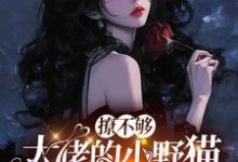 撩不够，大佬的小野猫又欲又嚣张最新完结小说撩不够，大佬的小野猫又欲又嚣张陆晨矅免费小说-蓝天文学