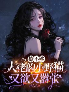 撩不够，大佬的小野猫又欲又嚣张完整版小说撩不够，大佬的小野猫又欲又嚣张(陆晨矅)全章小说阅读