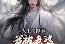 白棋陈北玄人生模拟器：我被老婆逼成世间极境全本免费在线阅读-蓝天文学