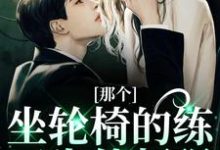 那个坐轮椅的练习生他超强完整版小说，那个坐轮椅的练习生他超强江北生全章小说阅读-蓝天文学