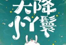 (全文)天降小丫鬟（夏夏）试读更新章节天降小丫鬟免费小说-蓝天文学