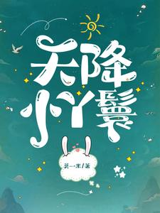 天降小丫鬟夏夏完结小说推荐，天降小丫鬟全章小说阅读