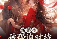 新婚夜被强迫对待，这叫不近女色？谢临珩虞听晚完结小说推荐，新婚夜被强迫对待，这叫不近女色？全章小说阅读-蓝天文学