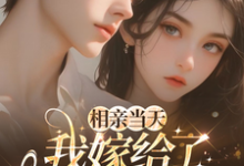 相亲当天,我嫁给了京都首富推荐完结小说相亲当天,我嫁给了京都首富(蓝冉)免费小说全本-蓝天文学