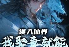 (全文)误入仙界，我娶妻就能天下无敌(许世安)全本免费在线阅读-蓝天文学