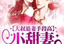 大叔追妻手段高，小甜妻逃不掉完整版小说大叔追妻手段高，小甜妻逃不掉(叶柠谢聿礼)全章小说阅读-蓝天文学