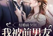 结婚前夕,我被前男友带走了完整版小说,结婚前夕,我被前男友带走了薄寒深曲南枝全章小说阅读-蓝天文学