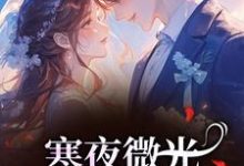 (全文)寒夜微光：她的逆袭人生热门小说排行榜，寒夜微光：她的逆袭人生袁小苔全章小说阅读-蓝天文学