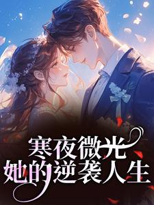 (全文)寒夜微光：她的逆袭人生热门小说排行榜，寒夜微光：她的逆袭人生袁小苔全章小说阅读
