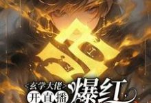 玄学大佬开直播，爆红阴阳两界虞初见孟白首免费小说玄学大佬开直播，爆红阴阳两界推荐完结小说-蓝天文学