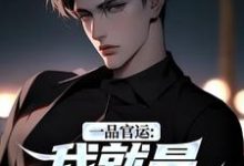 (全文)一品官运：我就是无冕之王陈飞宇全本免费在线阅读-蓝天文学