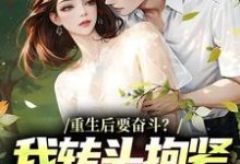 重生后要奋斗？我转头抱紧富婆大腿完整版小说，重生后要奋斗？我转头抱紧富婆大腿李子玉试读更新章节-蓝天文学