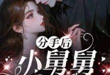 分手后，小舅舅夜夜洗床单沈锦悦最新完结小说，分手后，小舅舅夜夜洗床单全本免费在线阅读-蓝天文学