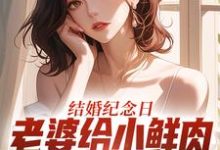 结婚纪念日,老婆给小鲜肉打榜应援(叶一帆)全本书籍阅读结婚纪念日,老婆给小鲜肉打榜应援完整版小说-蓝天文学