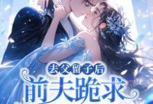 去父留子后，前夫跪求伺候我月子！（林亦棠）全章小说阅读-蓝天文学
