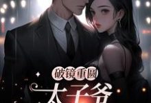 (全文)破镜重圆：太子爷他太霸道完结小说推荐黎念靳宴深全本书籍阅读-蓝天文学