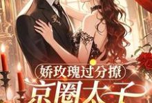 邓恩雅娇玫瑰过分撩，京圈太子底线全抛全本免费在线阅读-蓝天文学