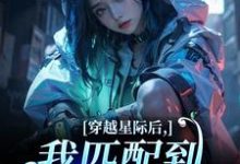 穿越星际后，我匹配到九个大冤种（洛千）全章小说阅读-蓝天文学