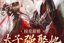 贺玥掠爱甜婚：太子强娶她入东宫全本免费在线阅读-蓝天文学