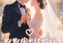 默默掏出结婚证，我的老公好奶推荐完结小说默默掏出结婚证，我的老公好奶(宋禧)免费小说全本-蓝天文学