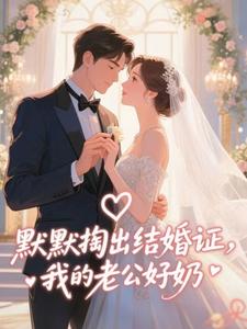 (全文)默默掏出结婚证，我的老公好奶宋禧小说推荐，默默掏出结婚证，我的老公好奶全章小说阅读