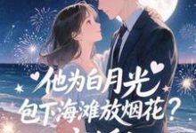 (全文)他为白月光包下海滩放烟花？离婚！(霍宴州云初)全本免费在线阅读-蓝天文学