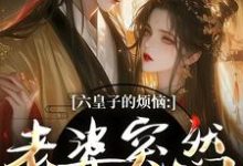 (全文)六皇子的烦恼:老婆突然不瞎了谢成君完结小说推荐六皇子的烦恼:老婆突然不瞎了试读更新章节-蓝天文学
