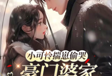 小可怜揣崽偷哭,豪门婆家来团宠推荐完结小说,小可怜揣崽偷哭,豪门婆家来团宠苏念念免费小说全本-蓝天文学