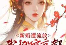 新婚遭流放，我搬空京都去逃荒（桑晚柠）全章小说阅读-蓝天文学