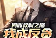 方晓倩问鼎权利之巅，我成反贪第一人全本免费在线阅读-蓝天文学