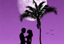 顾衍之沈从灵小说人间孤鸿照影烬在线阅读-蓝天文学