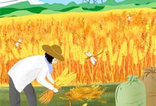 完结版《不见青丝是白头》免费阅读-蓝天文学