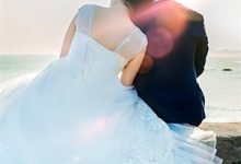 育兽师弱?但我有异形女王!(张辰白苏婉)在线免费阅读-蓝天文学