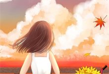 爱似流萤遇繁星这本小说怎么样?免费在线阅读试试-蓝天文学